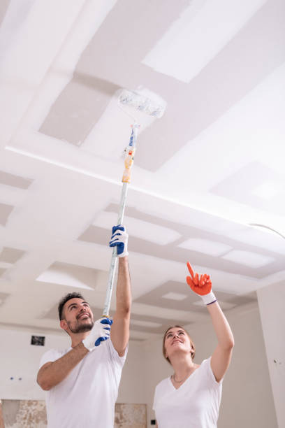Best Attic Mold Removal  in Arlington, OH