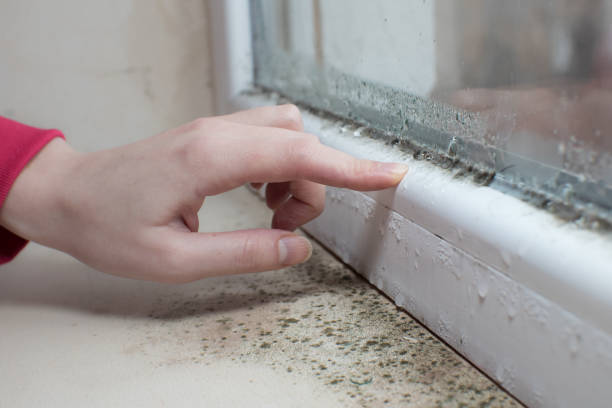 Best Post-Remediation Verification Testing  in Arlington, OH