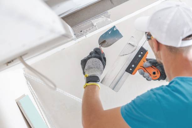 Best Environmental Consulting for Mold Prevention  in Arlington, OH